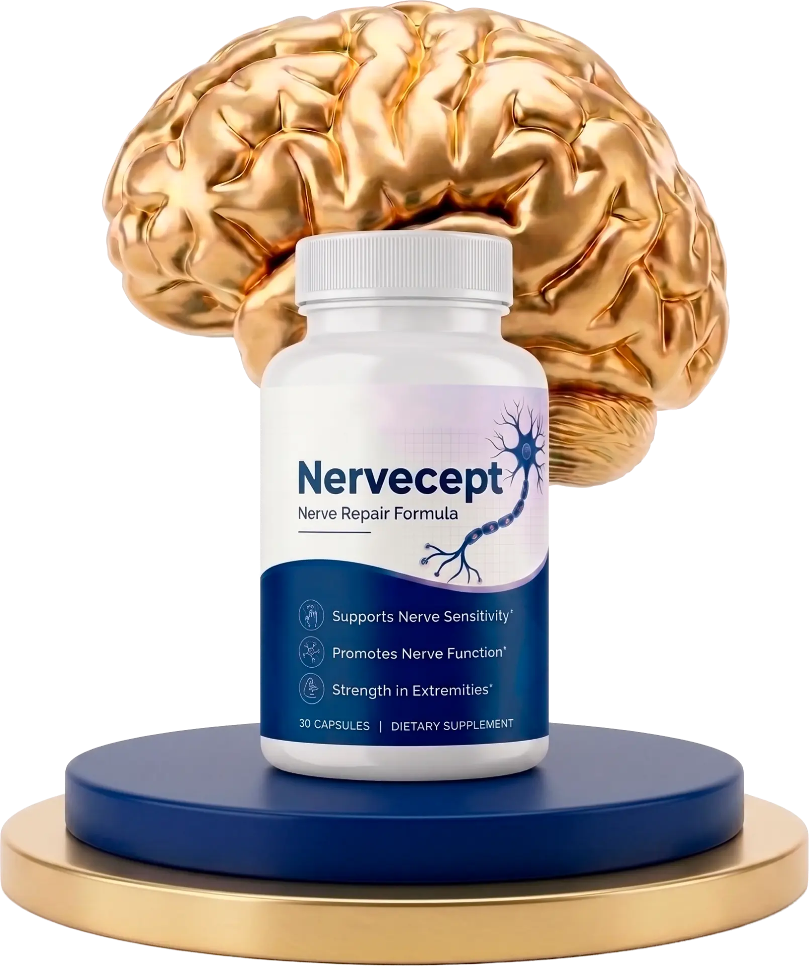 NerveCept Capsules bottle on a navy and gold pedestal in front of a golden brain